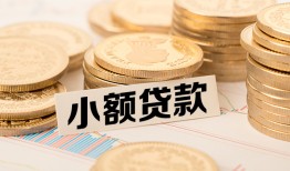 东莞急用钱哪里有小额贷款-东莞急用钱身份证贷款平台-东莞急用钱民间短借